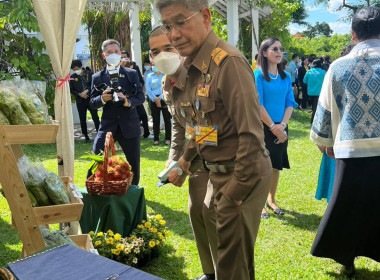 กรมส่งเสริมสหกรณ์ ร่วมแถลงข่าวการจัดงาน “สีสรรพรรณไม้ ... พารามิเตอร์รูปภาพ 13