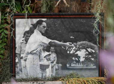 สมเด็จพระกนิษฐาธิราชเจ้า กรมสมเด็จพระเทพรัตนราชสุดาฯ ... พารามิเตอร์รูปภาพ 24