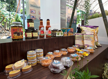 มหกรรมเกษตรไทยก้าวสู่อนาคตด้วยศาสตร์พระราชา พารามิเตอร์รูปภาพ 13