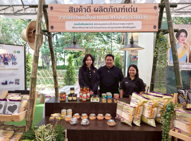 มหกรรมเกษตรไทยก้าวสู่อนาคตด้วยศาสตร์พระราชา พารามิเตอร์รูปภาพ 16