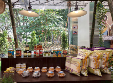 มหกรรมเกษตรไทยก้าวสู่อนาคตด้วยศาสตร์พระราชา พารามิเตอร์รูปภาพ 17