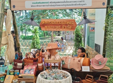 มหกรรมเกษตรไทยก้าวสู่อนาคตด้วยศาสตร์พระราชา พารามิเตอร์รูปภาพ 2