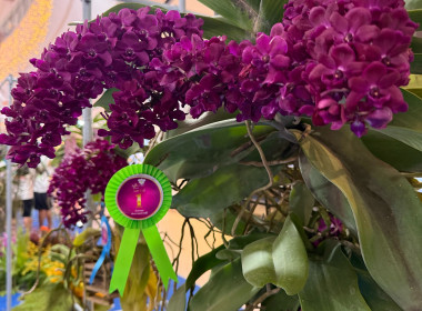 พิธีพระราชทานถ้วยรางวัลจากสมเด็จพระกนิษฐาธิราชเจ้า ... พารามิเตอร์รูปภาพ 20