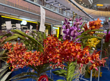 พิธีพระราชทานถ้วยรางวัลจากสมเด็จพระกนิษฐาธิราชเจ้า ... พารามิเตอร์รูปภาพ 25