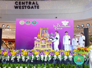 พิธีพระราชทานถ้วยรางวัลจากสมเด็จพระกนิษฐาธิราชเจ้า ... พารามิเตอร์รูปภาพ 1