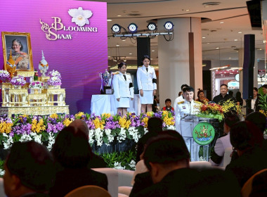 พิธีพระราชทานถ้วยรางวัลจากสมเด็จพระกนิษฐาธิราชเจ้า ... พารามิเตอร์รูปภาพ 3