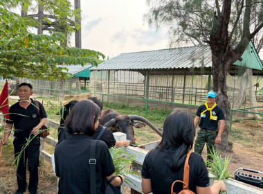 การฝึกอบรมหลักสูตรการฝึกปฏิบัติ และดูงานเศรษฐกิจพอเพียง ... พารามิเตอร์รูปภาพ 7
