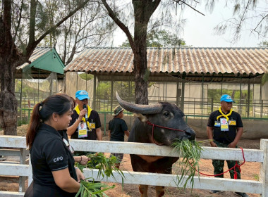การฝึกอบรมหลักสูตรการฝึกปฏิบัติ และดูงานเศรษฐกิจพอเพียง ... พารามิเตอร์รูปภาพ 8