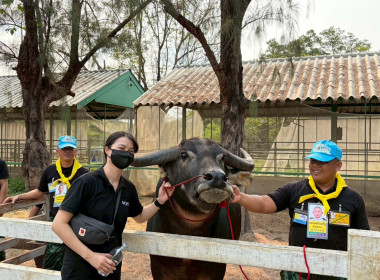 การฝึกอบรมหลักสูตรการฝึกปฏิบัติ และดูงานเศรษฐกิจพอเพียง ... พารามิเตอร์รูปภาพ 9