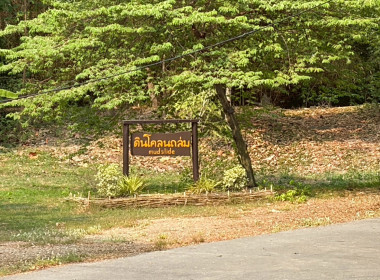 การฝึกอบรมหลักสูตรการฝึกปฏิบัติ และดูงานเศรษฐกิจพอเพียง ... พารามิเตอร์รูปภาพ 12