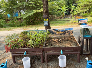 การฝึกอบรมหลักสูตรการฝึกปฏิบัติ และดูงานเศรษฐกิจพอเพียง ... พารามิเตอร์รูปภาพ 14