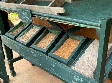 การฝึกอบรมหลักสูตรการฝึกปฏิบัติ และดูงานเศรษฐกิจพอเพียง ... พารามิเตอร์รูปภาพ 20