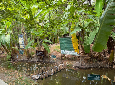 การฝึกอบรมหลักสูตรการฝึกปฏิบัติ และดูงานเศรษฐกิจพอเพียง ... พารามิเตอร์รูปภาพ 21