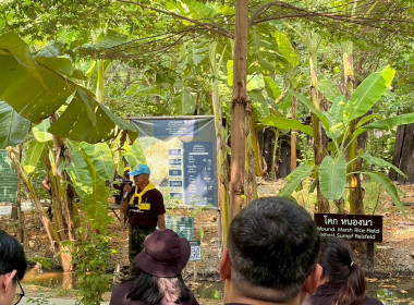 การฝึกอบรมหลักสูตรการฝึกปฏิบัติ และดูงานเศรษฐกิจพอเพียง ... พารามิเตอร์รูปภาพ 22