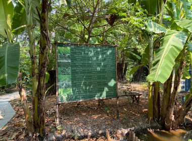 การฝึกอบรมหลักสูตรการฝึกปฏิบัติ และดูงานเศรษฐกิจพอเพียง ... พารามิเตอร์รูปภาพ 23