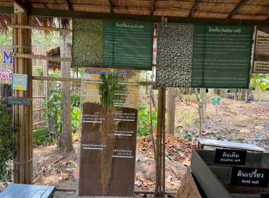 การฝึกอบรมหลักสูตรการฝึกปฏิบัติ และดูงานเศรษฐกิจพอเพียง ... พารามิเตอร์รูปภาพ 31