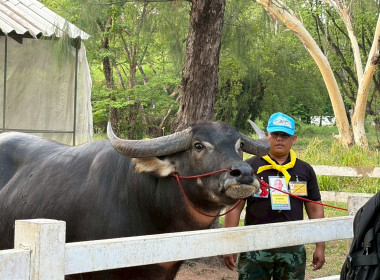 การฝึกอบรมหลักสูตรการฝึกปฏิบัติ และดูงานเศรษฐกิจพอเพียง ... พารามิเตอร์รูปภาพ 4