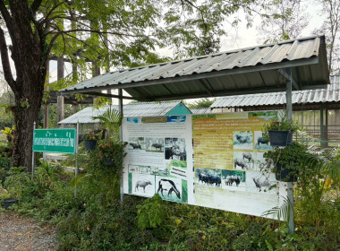 การฝึกอบรมหลักสูตรการฝึกปฏิบัติ และดูงานเศรษฐกิจพอเพียง ... พารามิเตอร์รูปภาพ 5