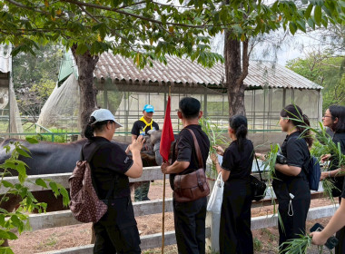 การฝึกอบรมหลักสูตรการฝึกปฏิบัติ และดูงานเศรษฐกิจพอเพียง ... พารามิเตอร์รูปภาพ 6