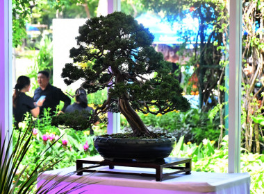 รองอธิบดีกรมส่งเสริมสหกรณ์ร่วมแถลงข่าวงาน “สีสรรพรรณไม้ ... พารามิเตอร์รูปภาพ 23