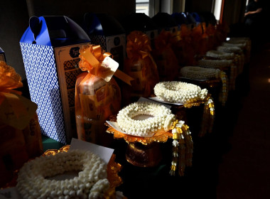 โครงการจัดงานเฉลิมพระเกียรติ ... พารามิเตอร์รูปภาพ 6