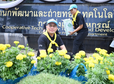 โครงการจัดงานเฉลิมพระเกียรติ ... พารามิเตอร์รูปภาพ 87