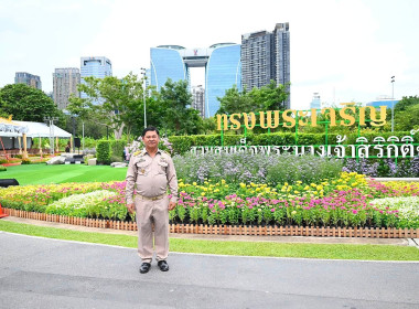 “สีสรรพรรณไม้ เทิดไท้บรมราชินีนาถ” ประจำปี 2569 ... พารามิเตอร์รูปภาพ 3