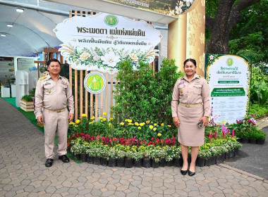 “สีสรรพรรณไม้ เทิดไท้บรมราชินีนาถ” ประจำปี 2569 ... พารามิเตอร์รูปภาพ 17