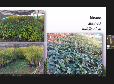 วันที่ 30 มกราคม 2566 สมเด็จพระกนิษฐาธิราชเจ้า ... พารามิเตอร์รูปภาพ 82