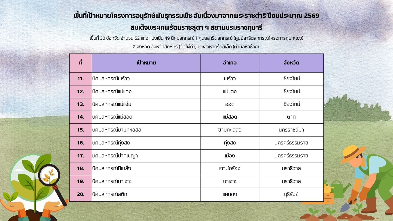 LINE ALBUM การอนุรักษ์พันธุกรรมพืช 260121 4